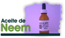aceite_deneem.jpg